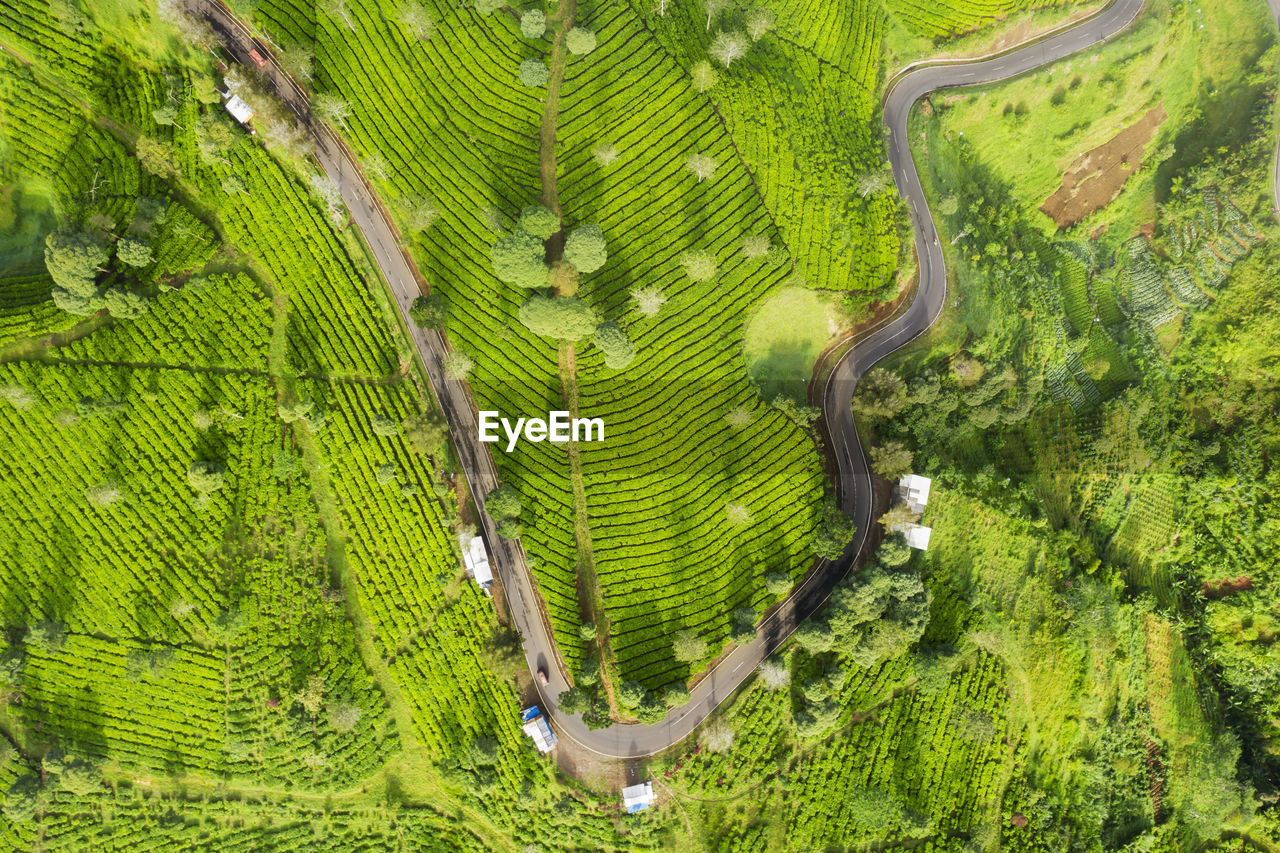 Aerial view of road by green landscape