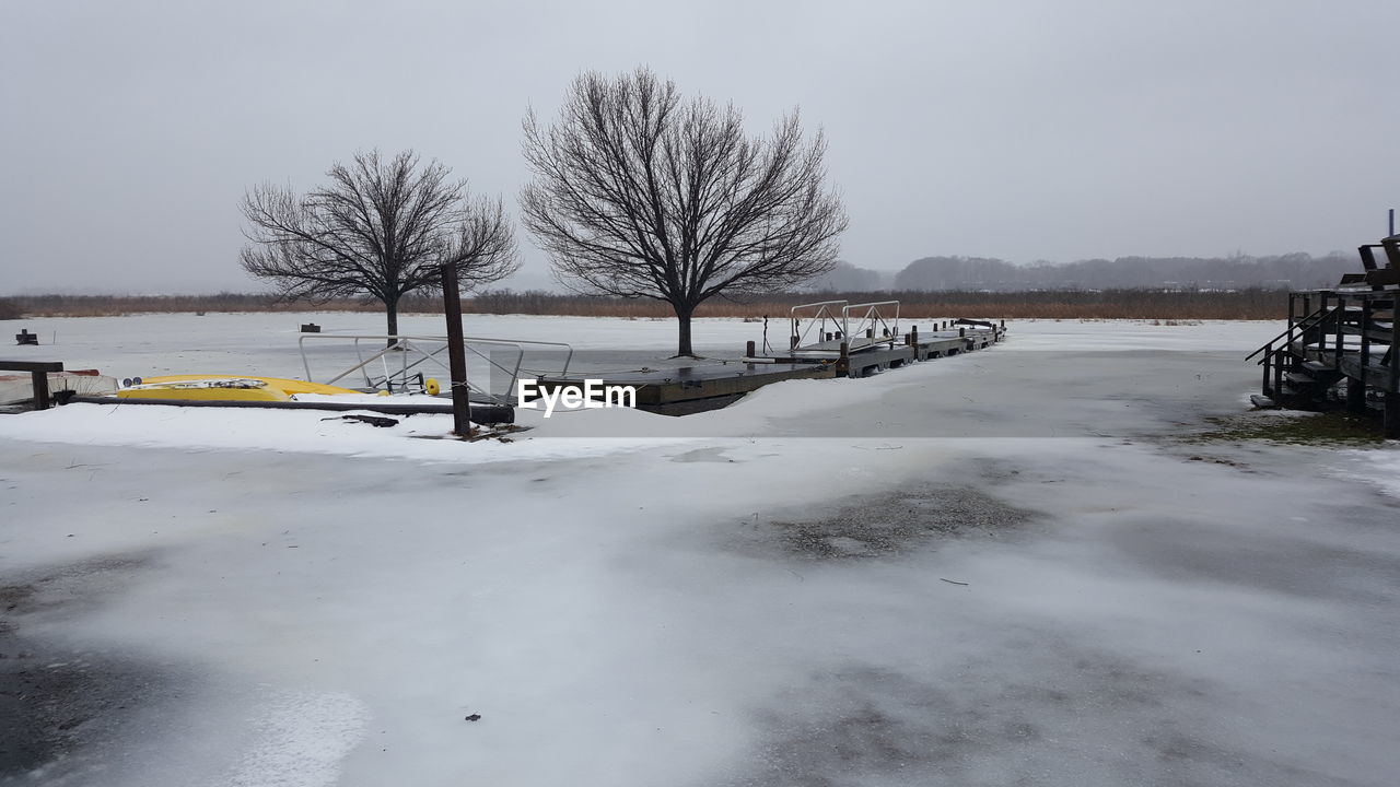 BARE TREES ON FROZEN LANDSCAPE AGAINST SKY