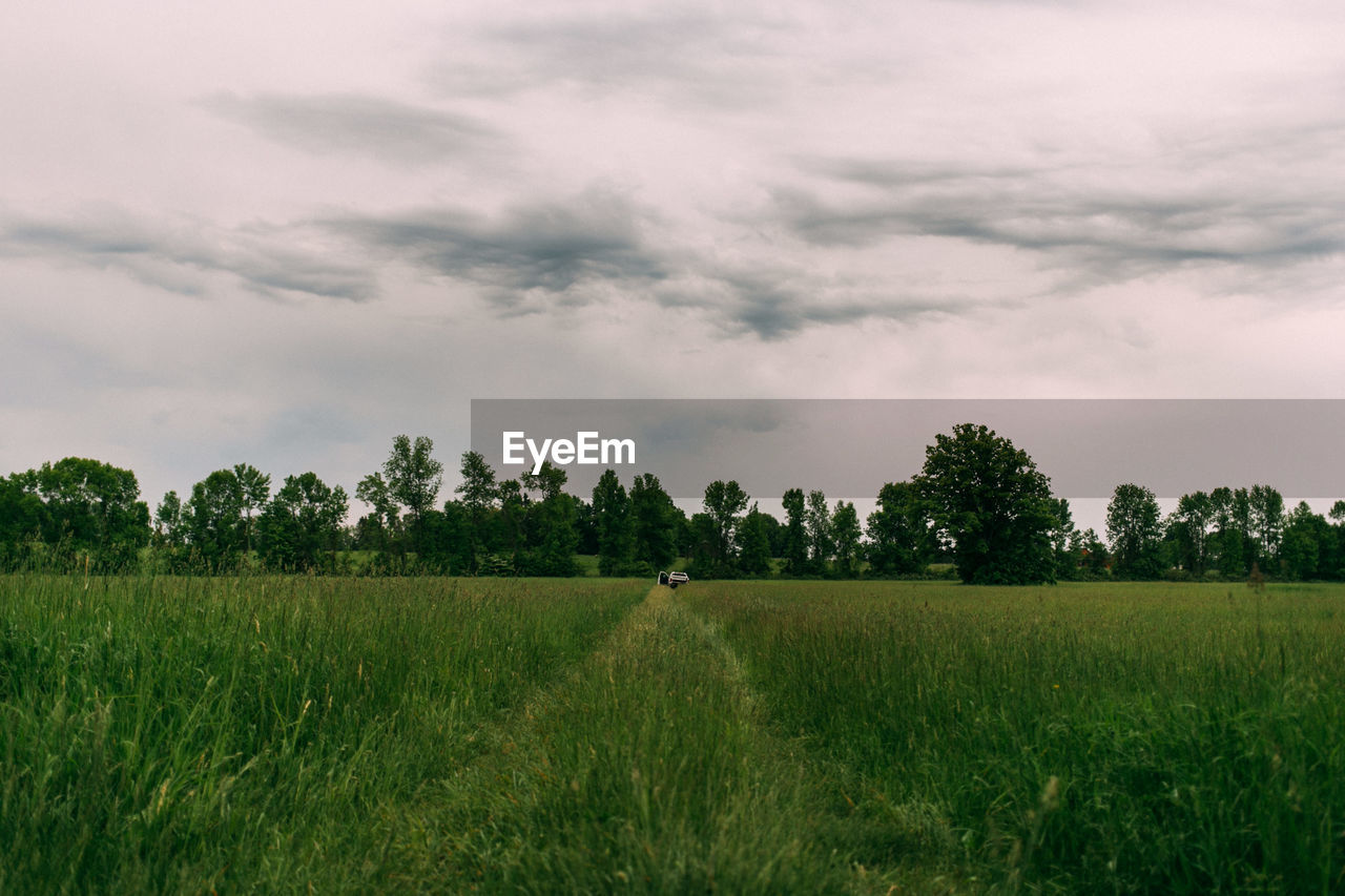 Scenic view of agricultural field against sky