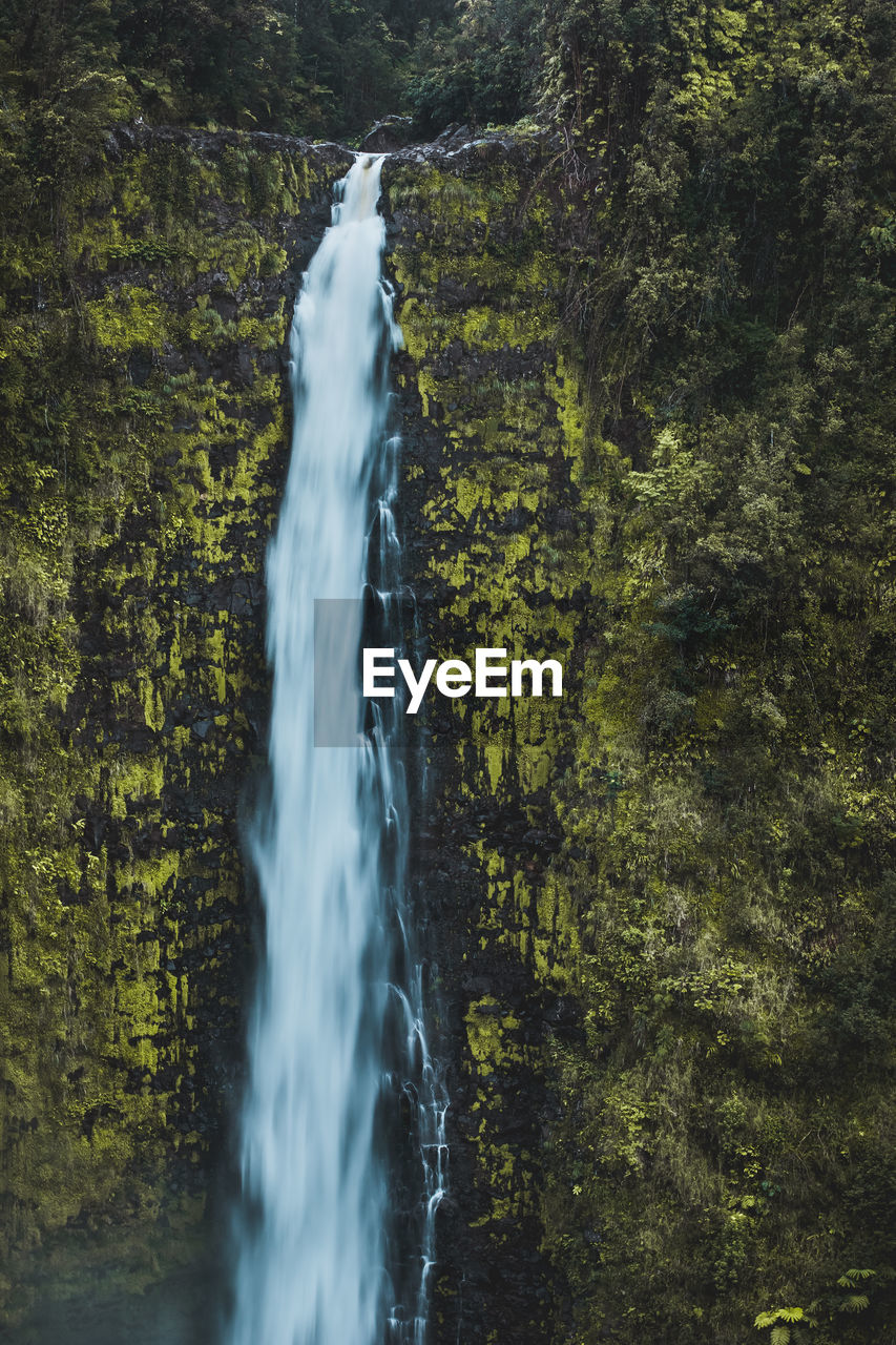 WATERFALL IN FOREST