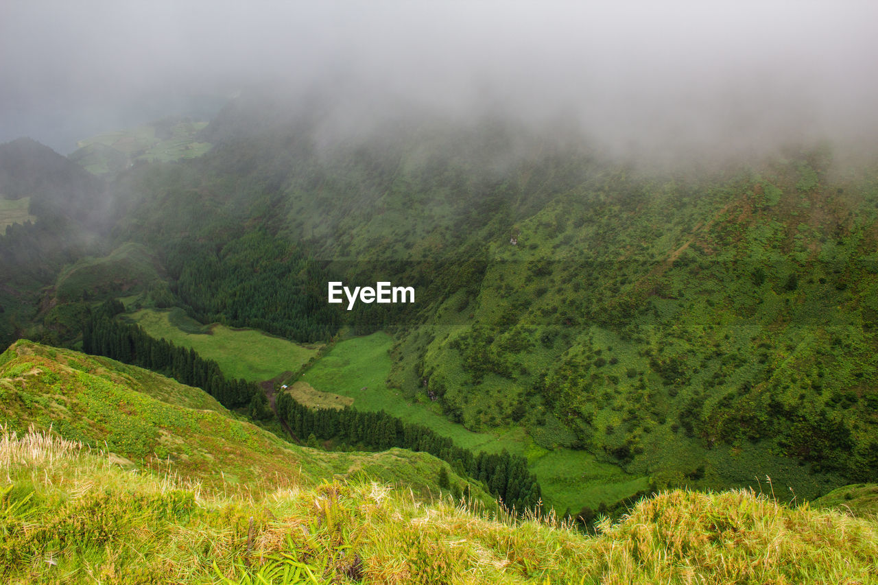 Scenic view of rural landscape