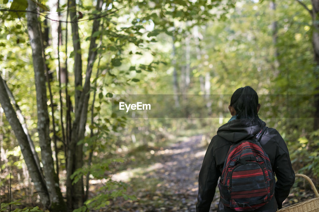 Rear view of woman walking through forest