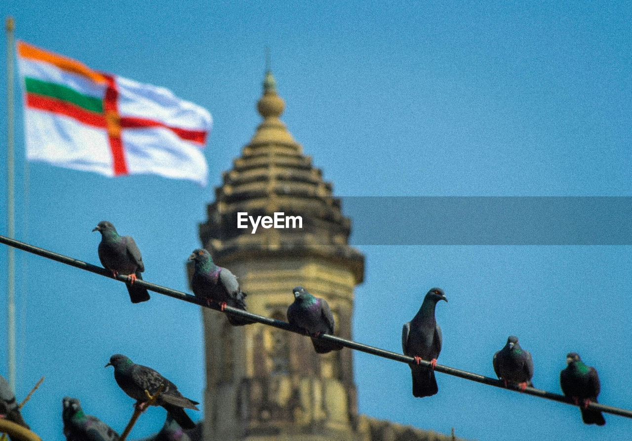 LOW ANGLE VIEW OF BIRDS PERCHING ON RAILING