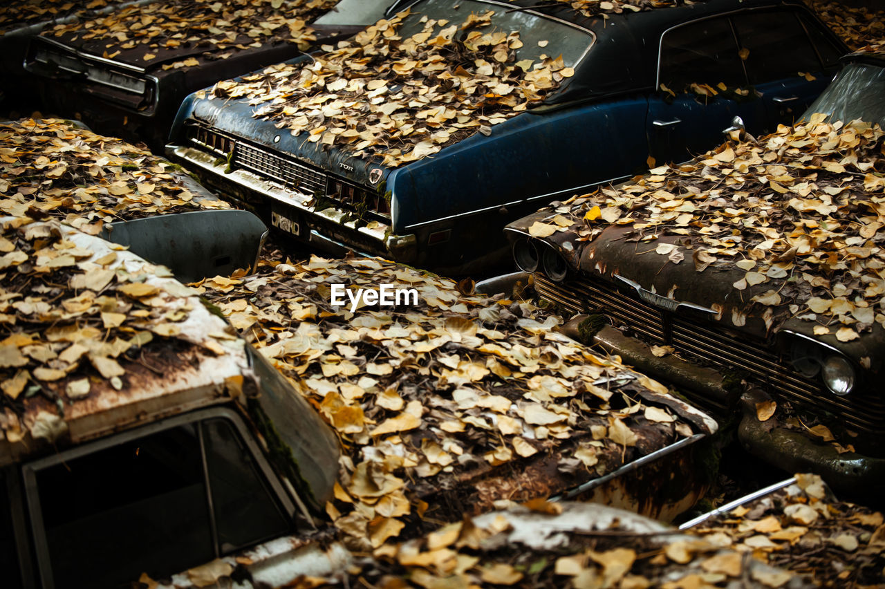 High angle view of dry leaves on abandoned cars