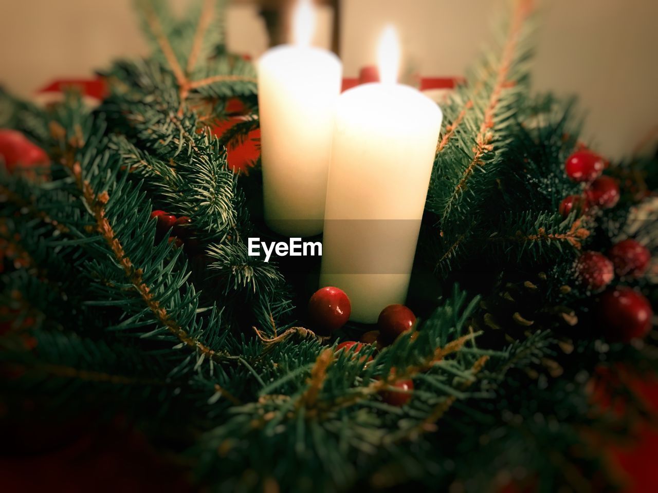 CLOSE-UP OF CHRISTMAS TREE AT NIGHT