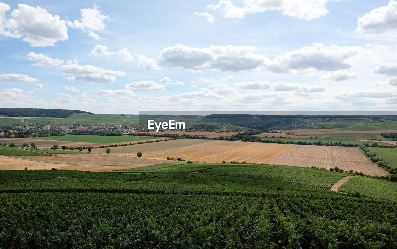 scenic view of agricultural field against cloudy sky