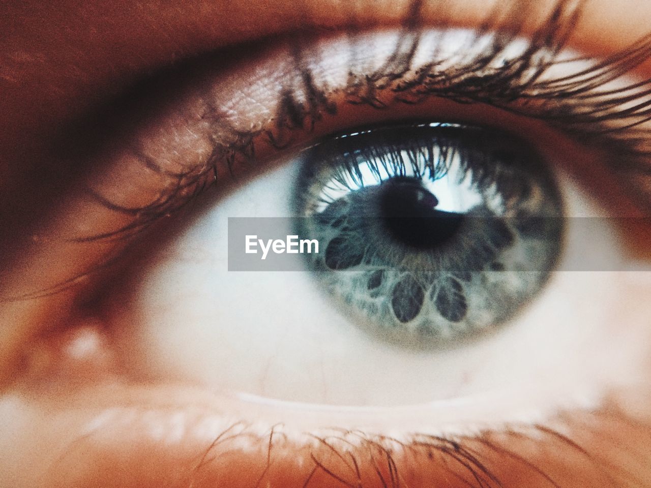 Extreme close-up of person eye