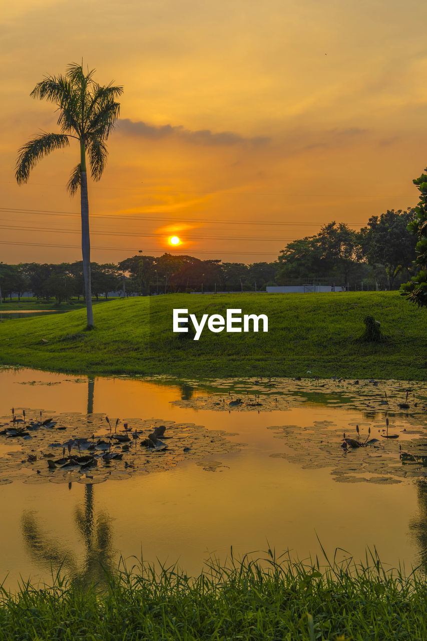 Scenic view of landscape against sky during sunset