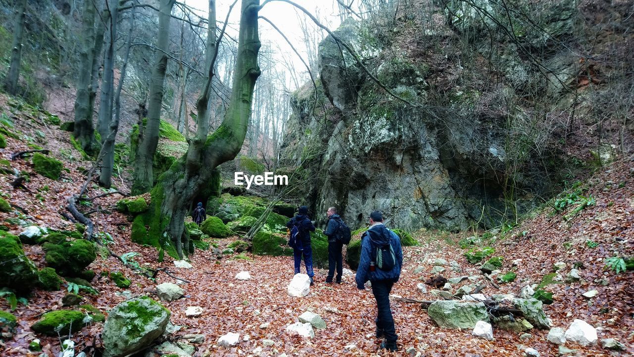 REAR VIEW OF PEOPLE WALKING ON FOREST