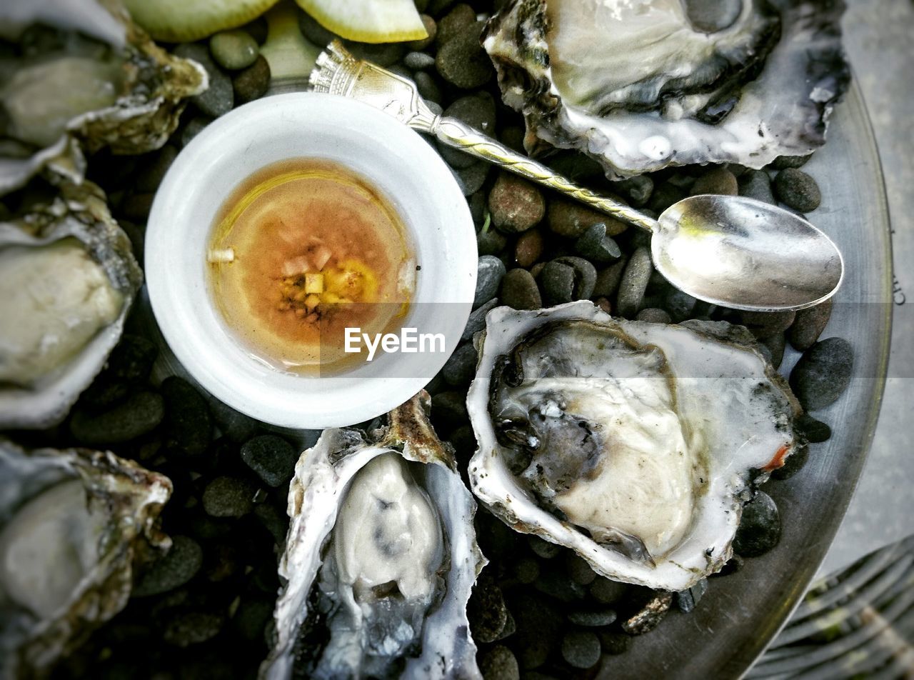 HIGH ANGLE VIEW OF FOOD IN PLATE