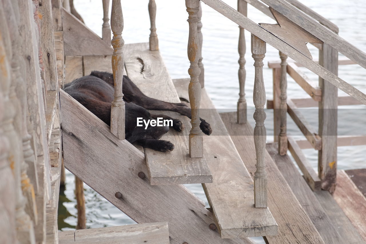 LOW ANGLE VIEW OF MONKEY SITTING ON RAILING