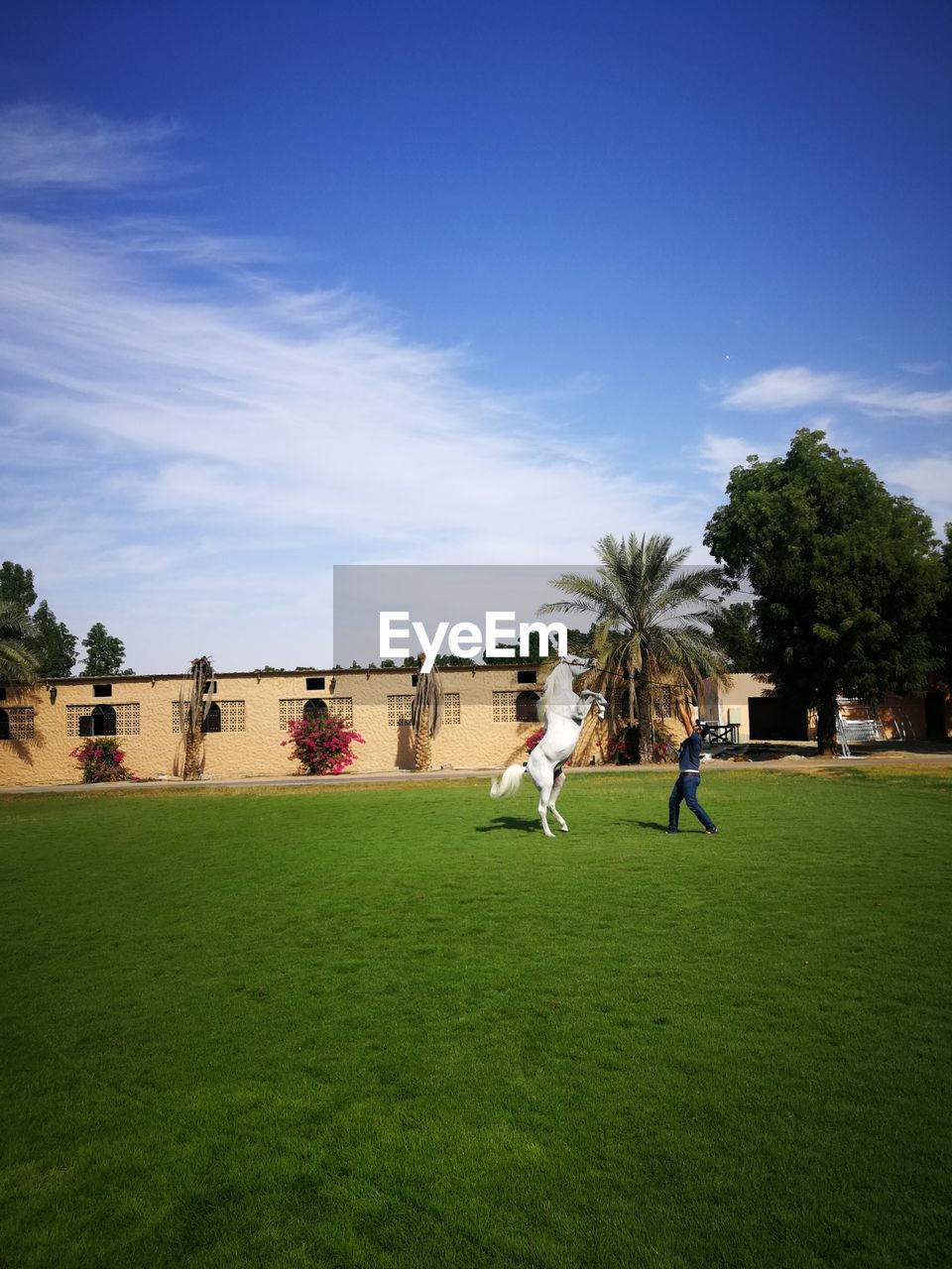 GROUP OF PEOPLE PLAYING SOCCER ON FIELD