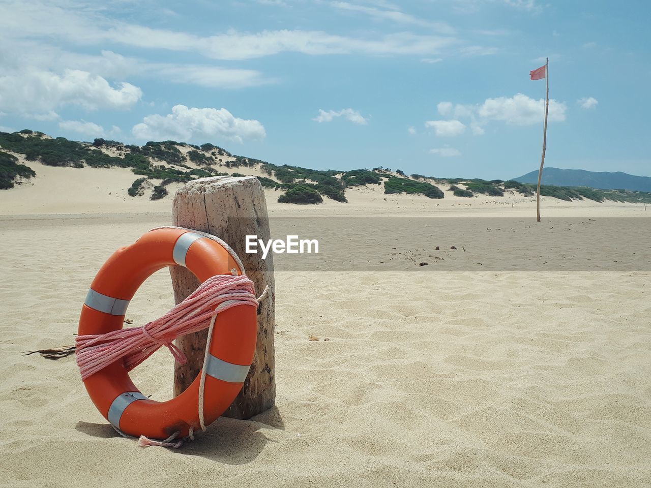 WOODEN POSTS ON BEACH