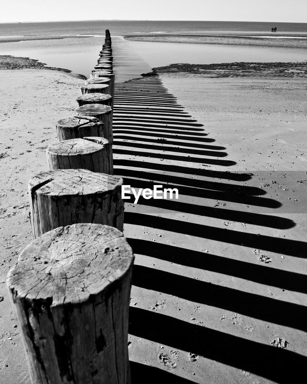 Wooden posts at beach