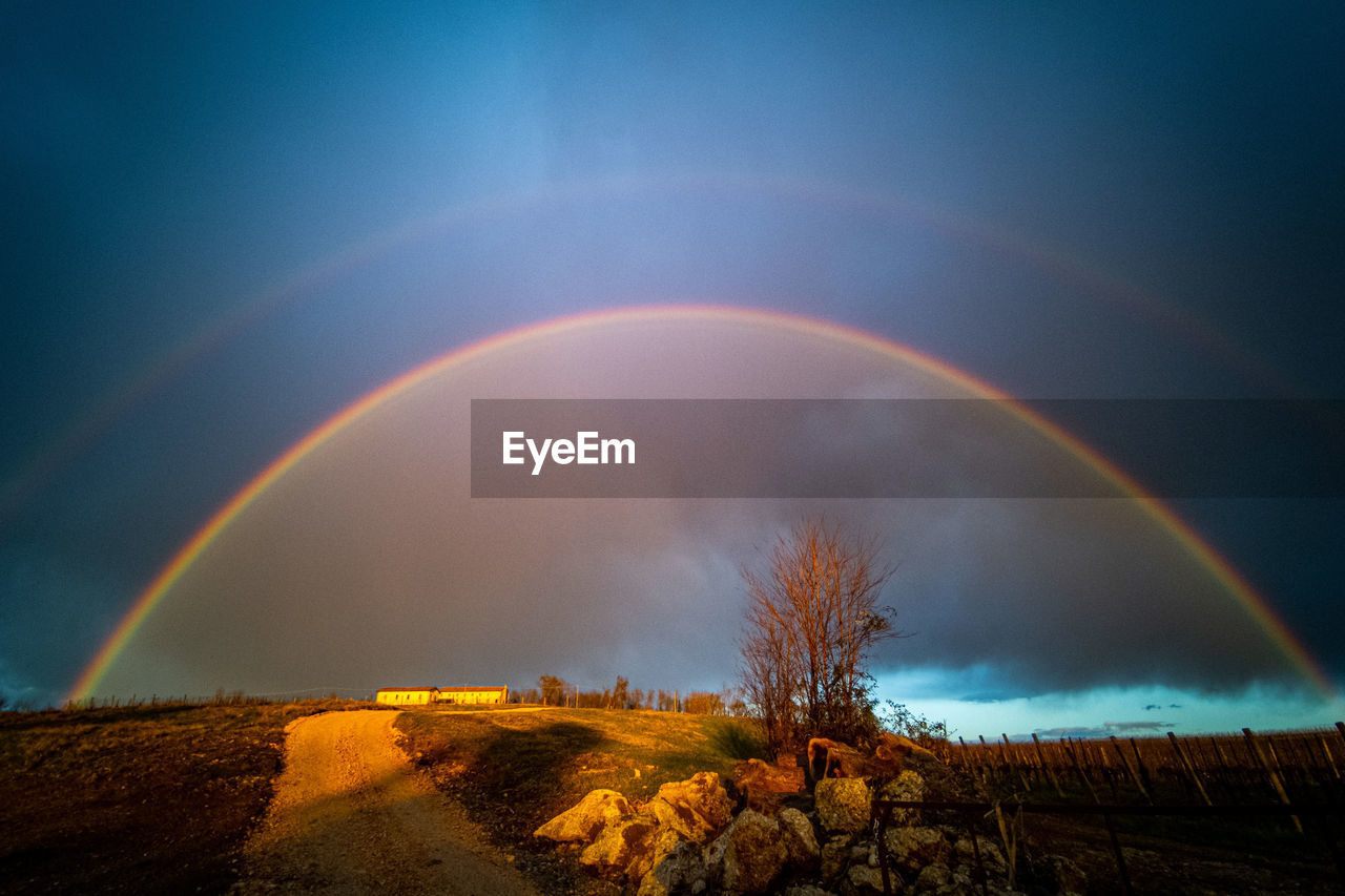 RAINBOW OVER TREES AGAINST SKY