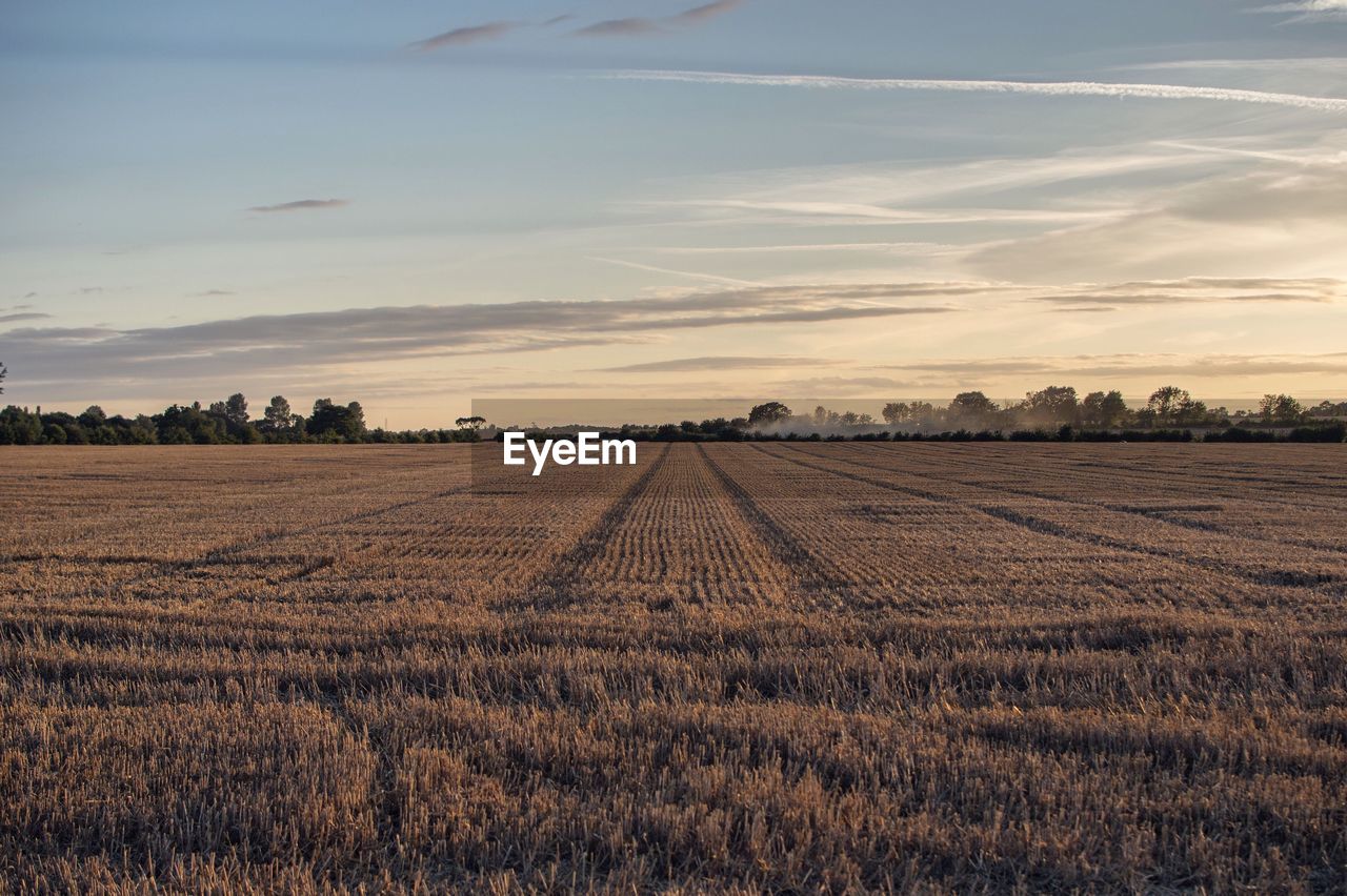 Scenic view of field against sky at sunset