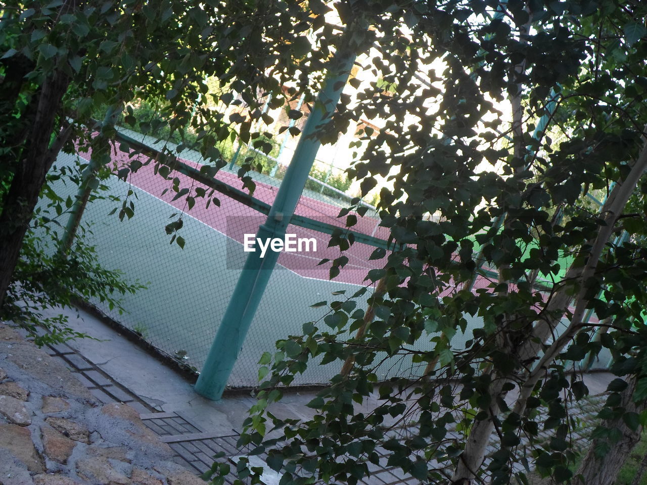 LOW ANGLE VIEW OF HANGING TREE AGAINST PLANTS