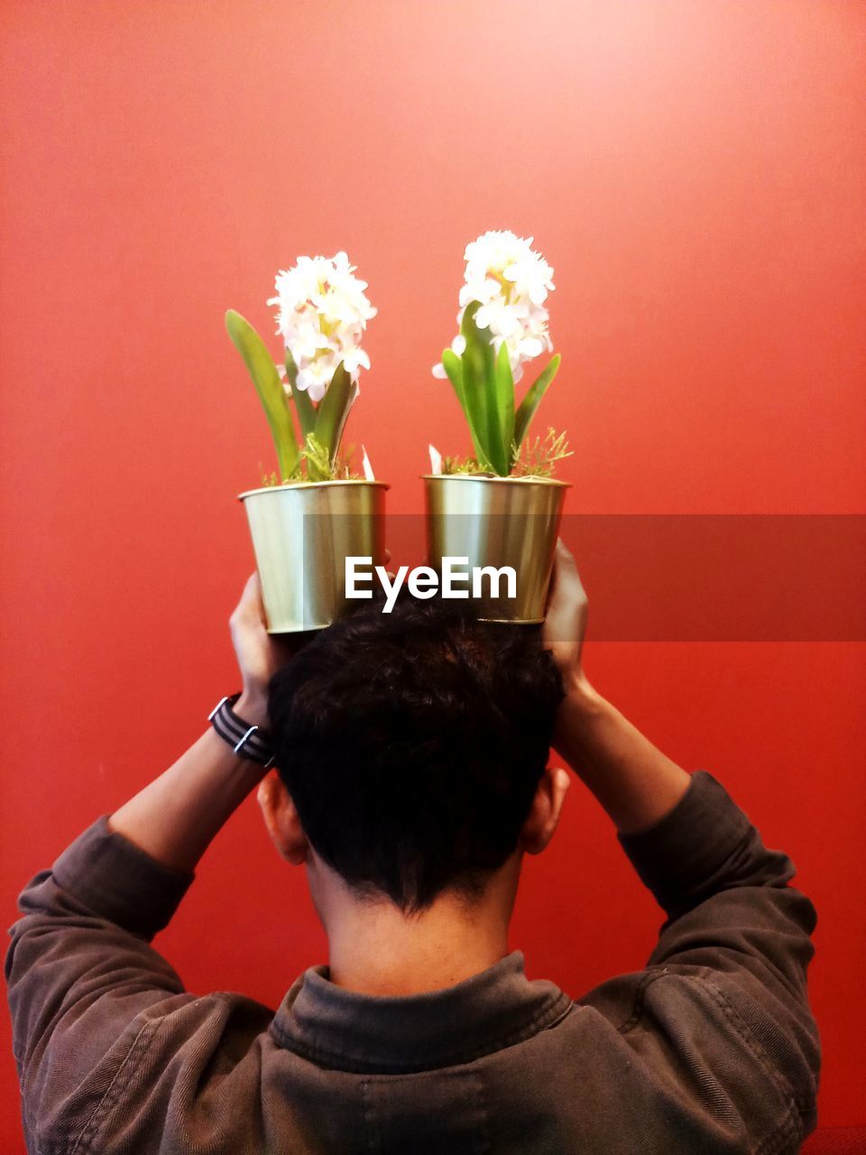 Rear view of man holding flower against red background