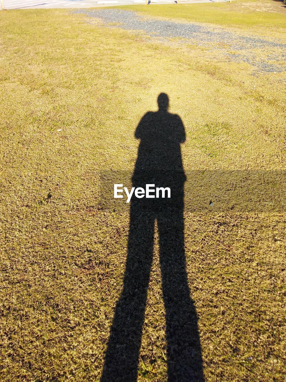 HIGH ANGLE VIEW OF SILHOUETTE SHADOW ON FIELD