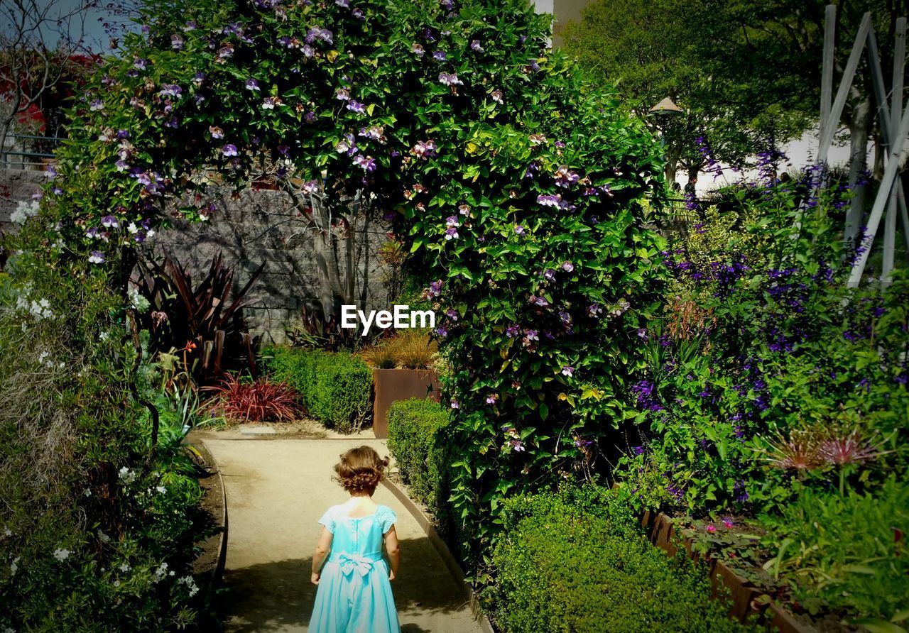 Rear view of girls standing on footpath amidst plants