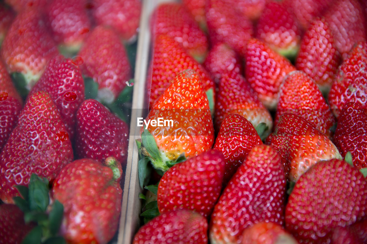 FULL FRAME SHOT OF RASPBERRIES