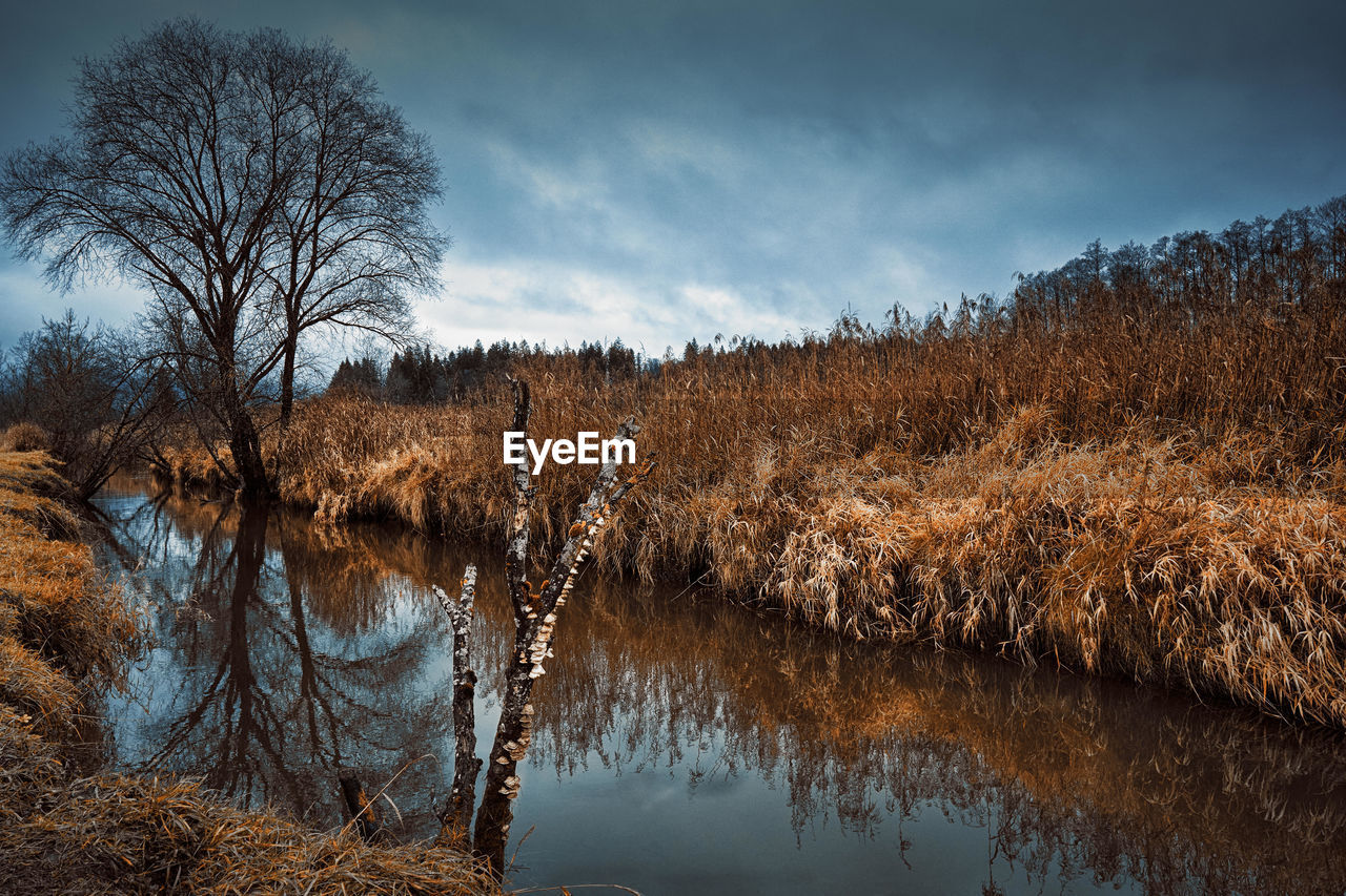 Scenic view of lake against sky during autumn