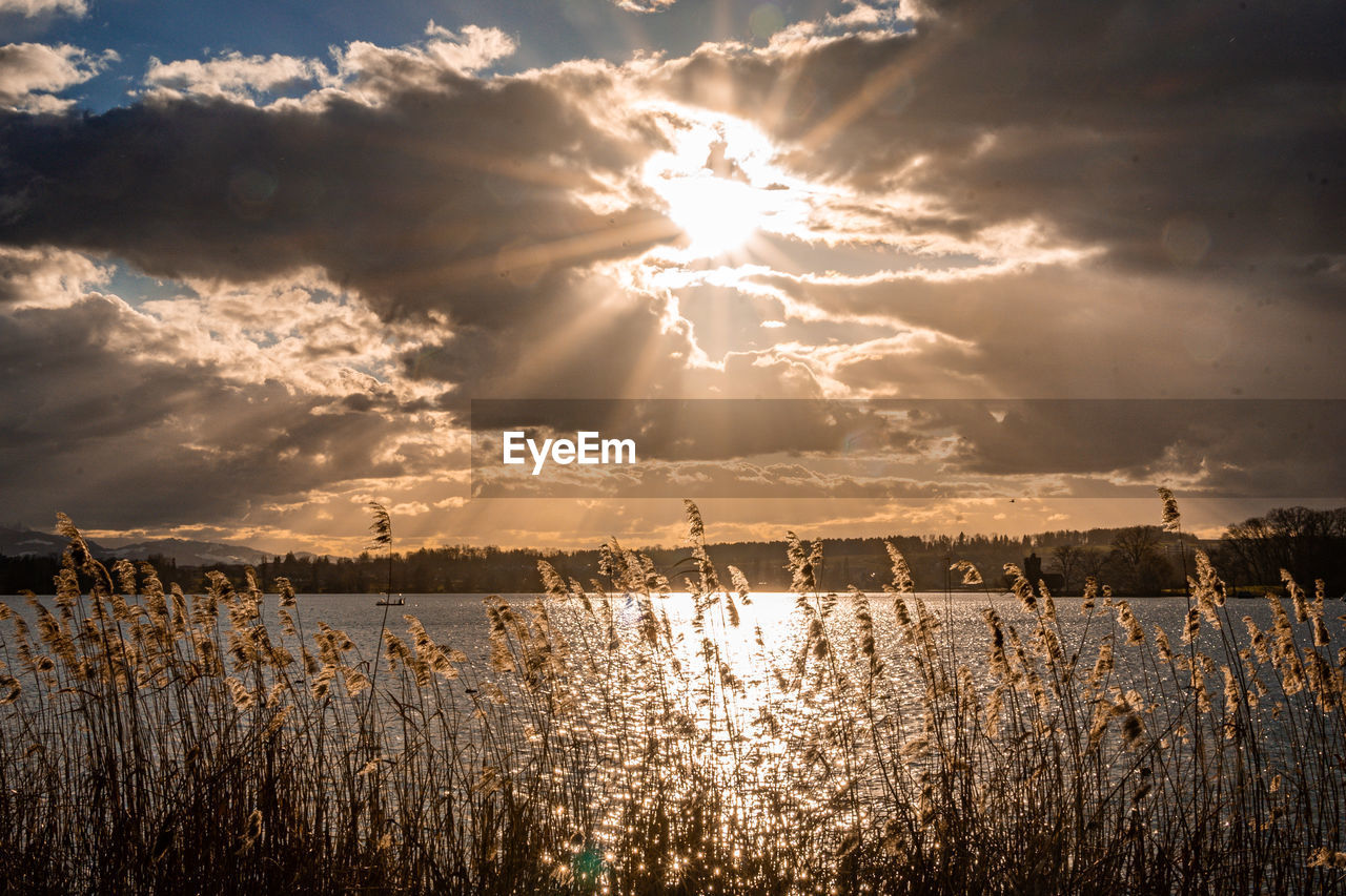 Scenic view of field against sky during sunset