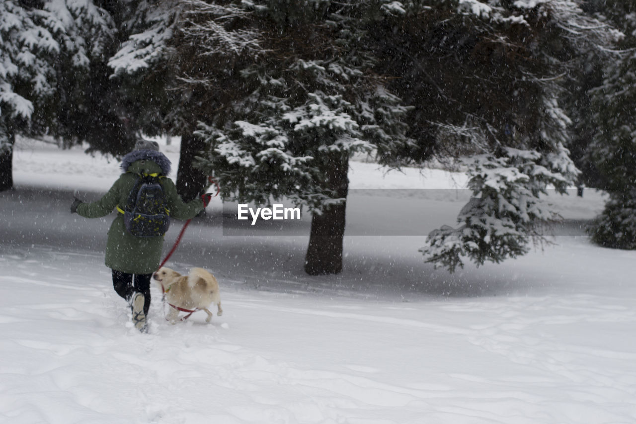 Rear view of girl playing with dog on snow covered field against trees