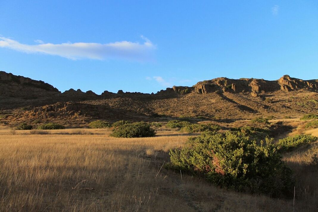 Scenic view of grass and mountains