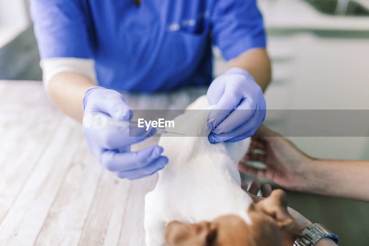 Midsection of female veterinarian examining puppy at clinic