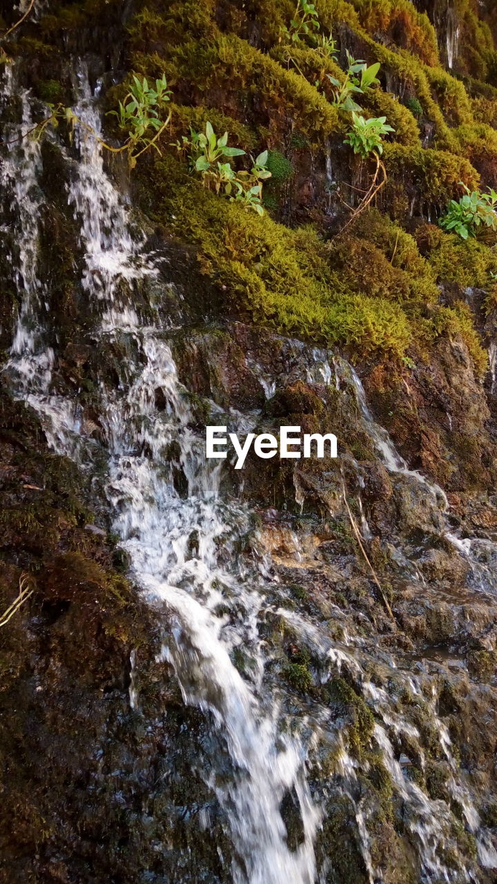 Stream flowing through rocks in forest