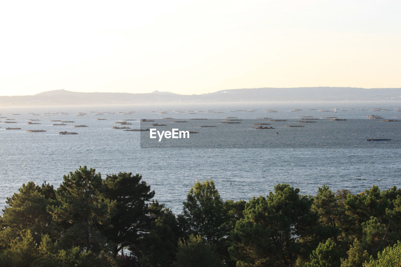 SCENIC VIEW OF BEACH AGAINST CLEAR SKY