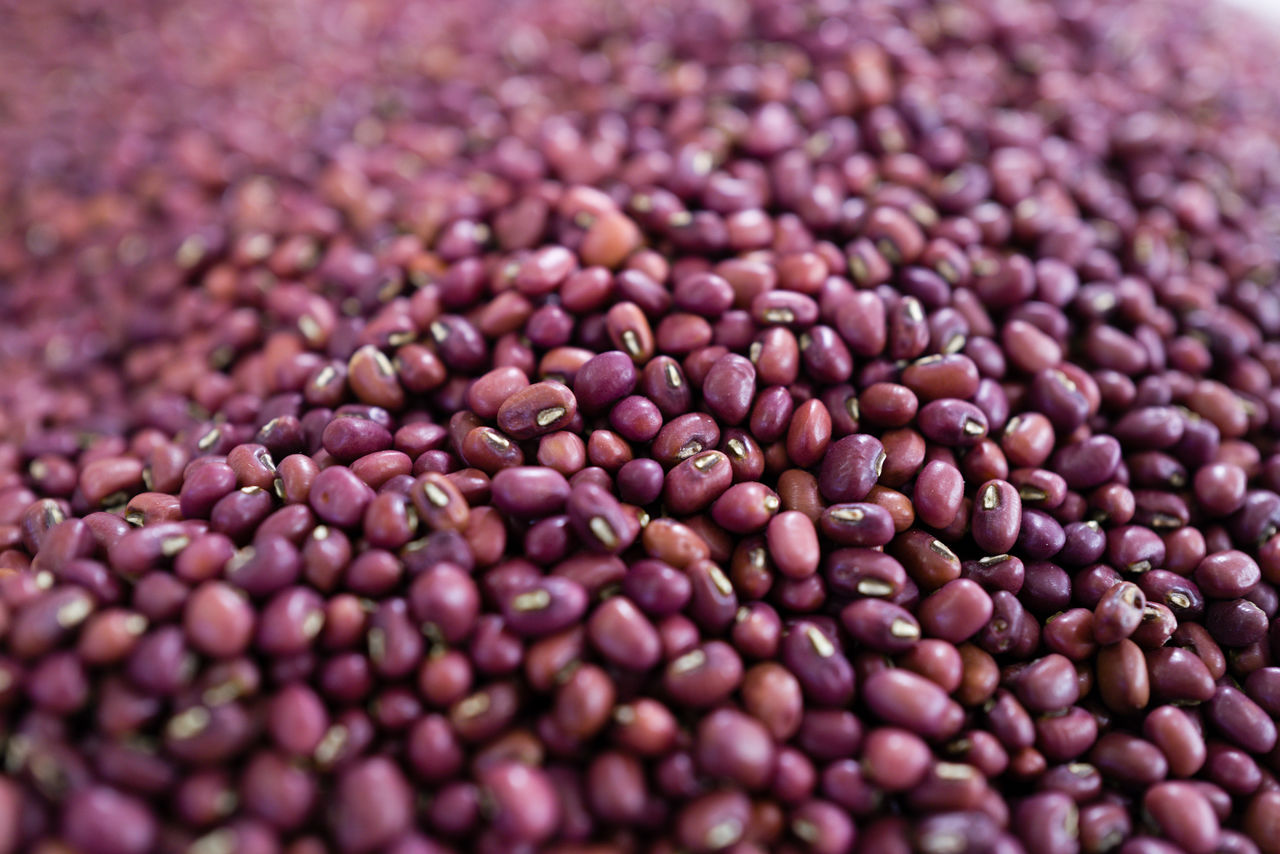 food and drink, food, crop, produce, freshness, agriculture, close-up, abundance, large group of objects, vegetable, no people, healthy eating, selective focus, backgrounds, full frame, common bean, bean, wellbeing, soil, still life, brown, raw food, nature, plant, textured, legume family