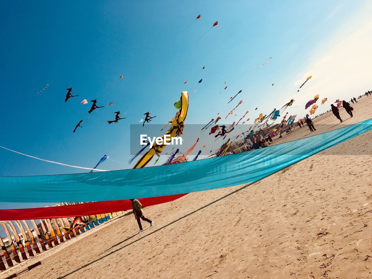 Kites flying over beach against blue sky
