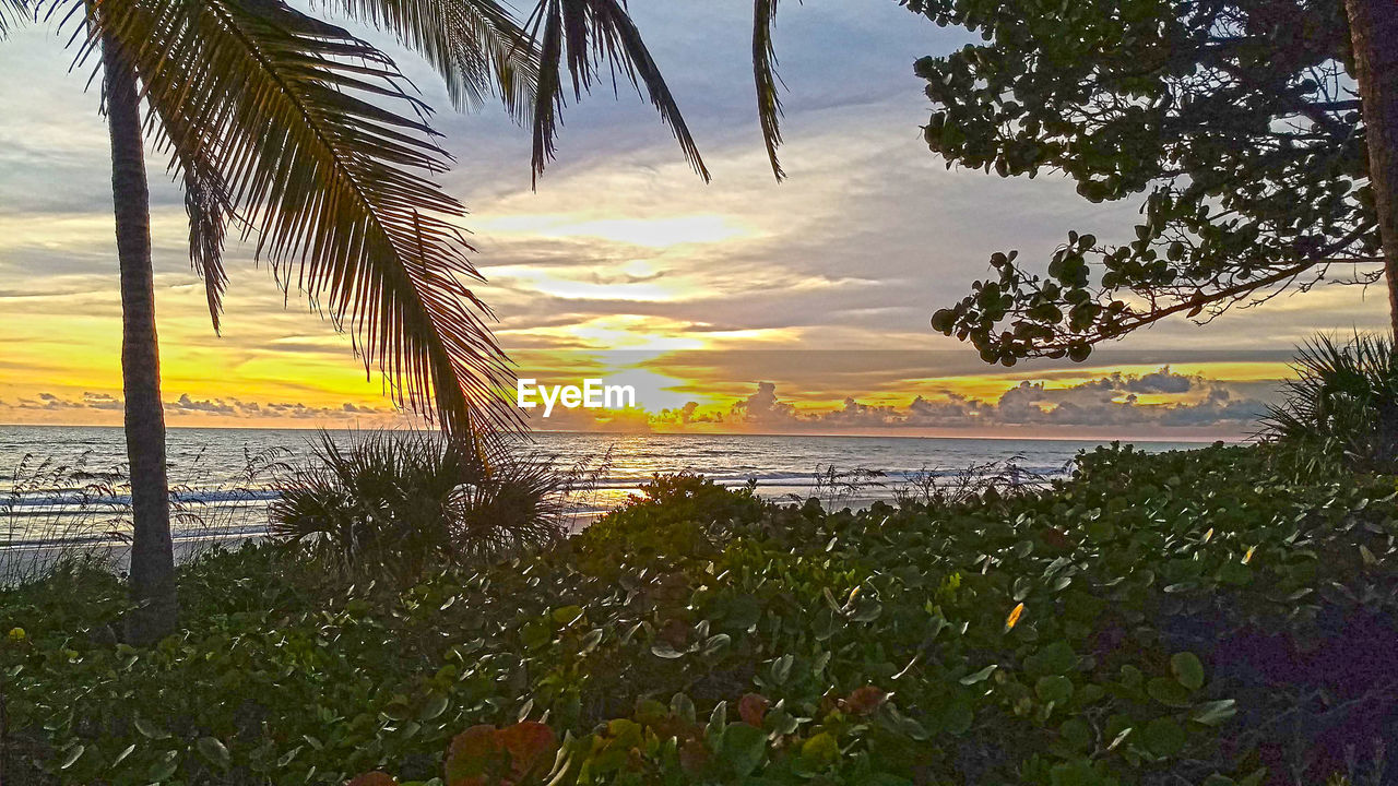 SCENIC VIEW OF BEACH DURING SUNSET