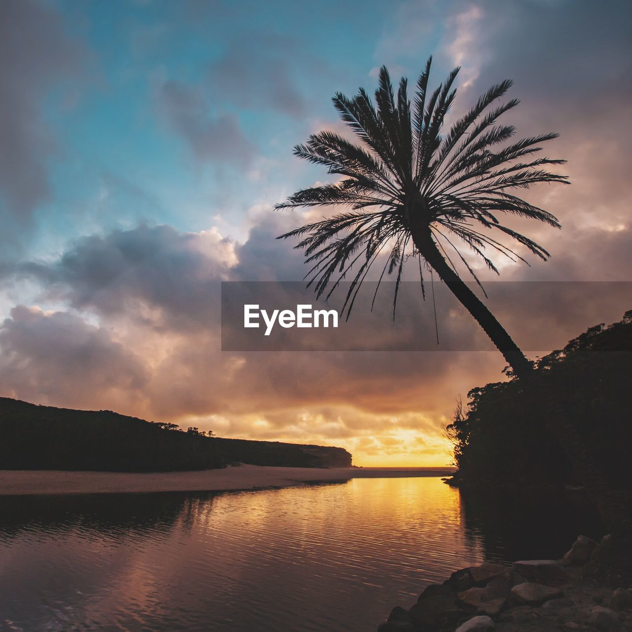 Silhouette palm tree by sea against sky during sunset