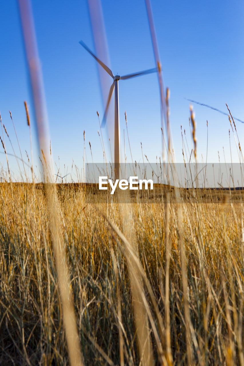 Wind turbine in field against blue sky