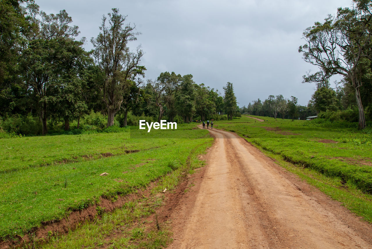 Naro moru hiking trail in mount kenya national park