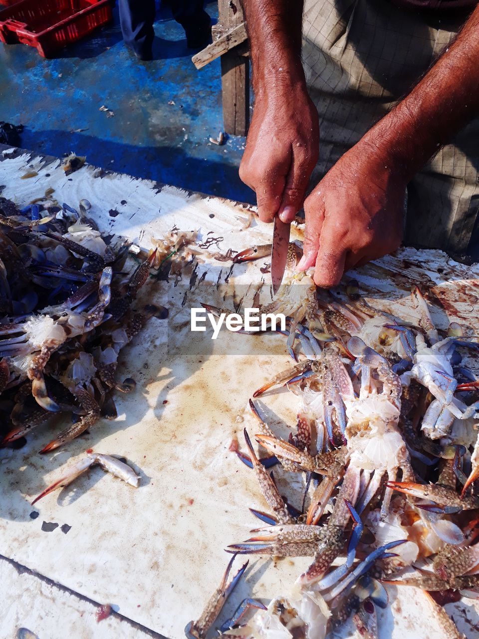 Low angle view of person preparing fish for sale at market