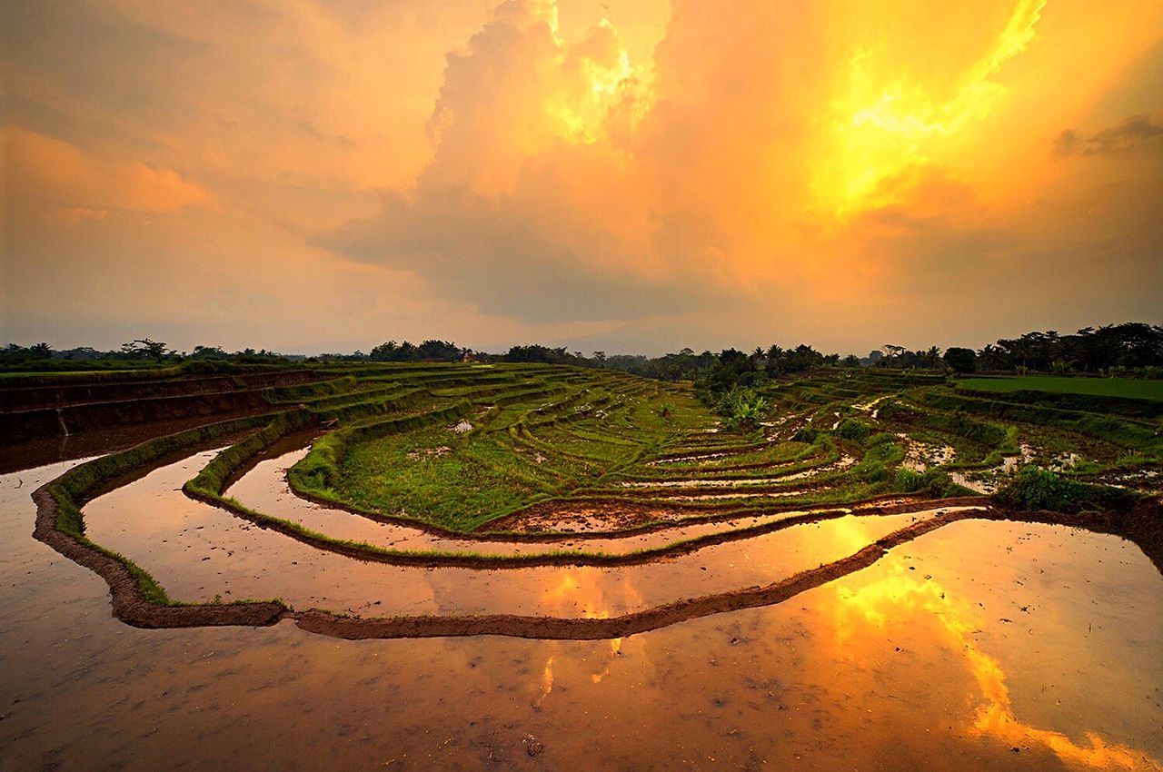 Scenic view of landscape at sunset