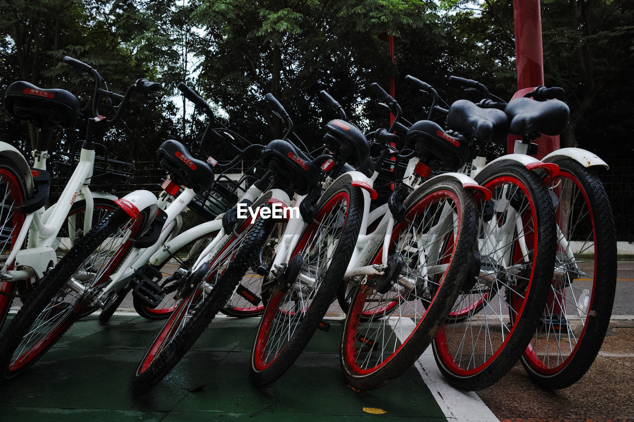 CLOSE-UP OF BICYCLE PARKED BY TREE