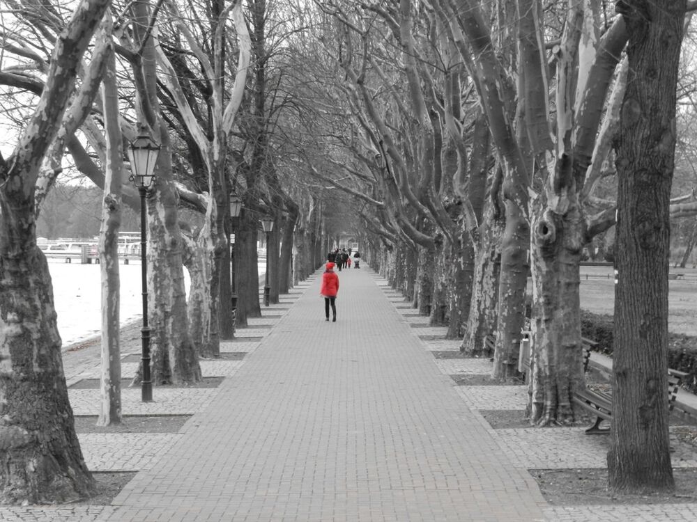REAR VIEW OF WOMAN WALKING ON FOOTPATH