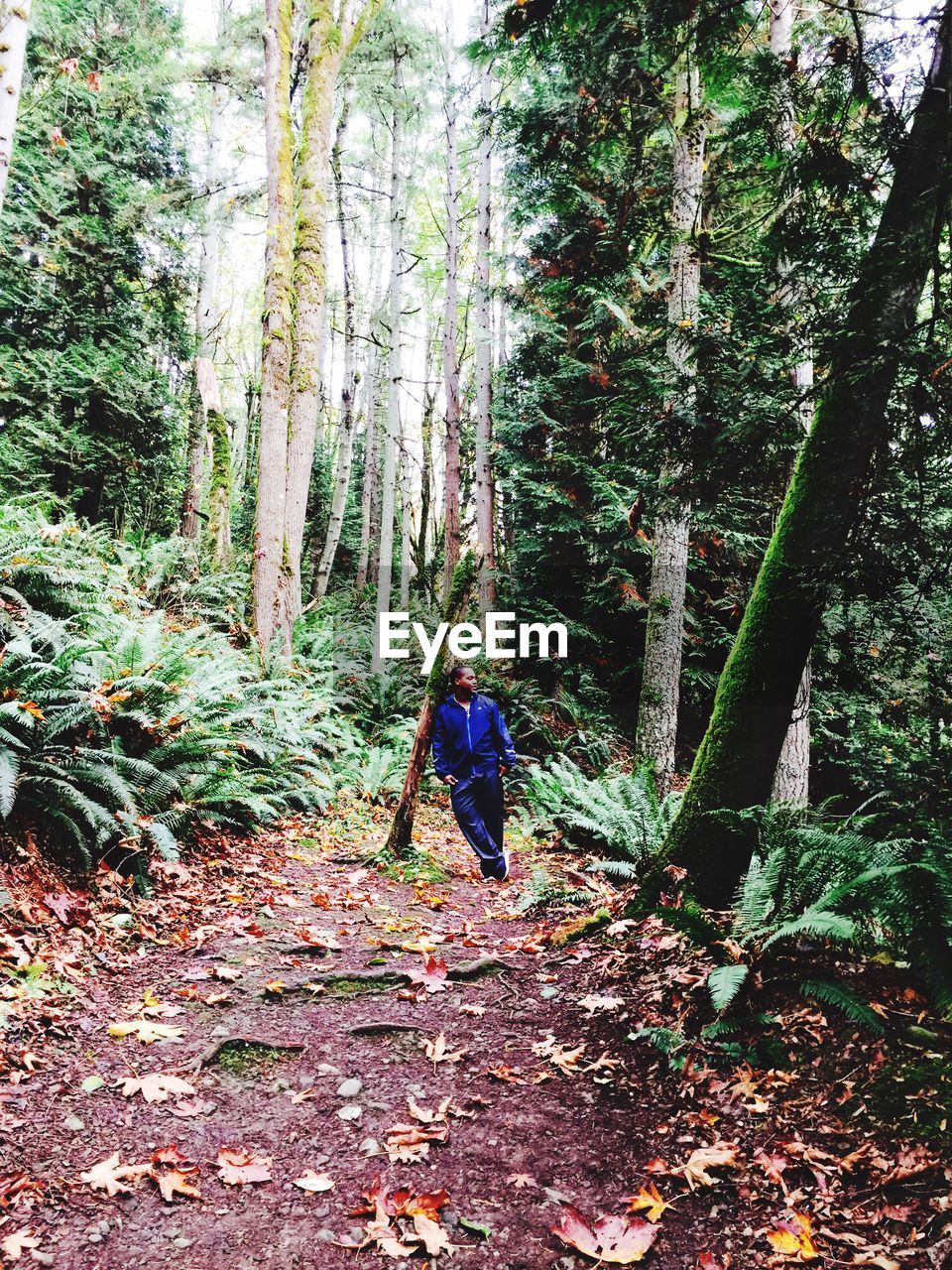 PEOPLE WALKING IN FOREST