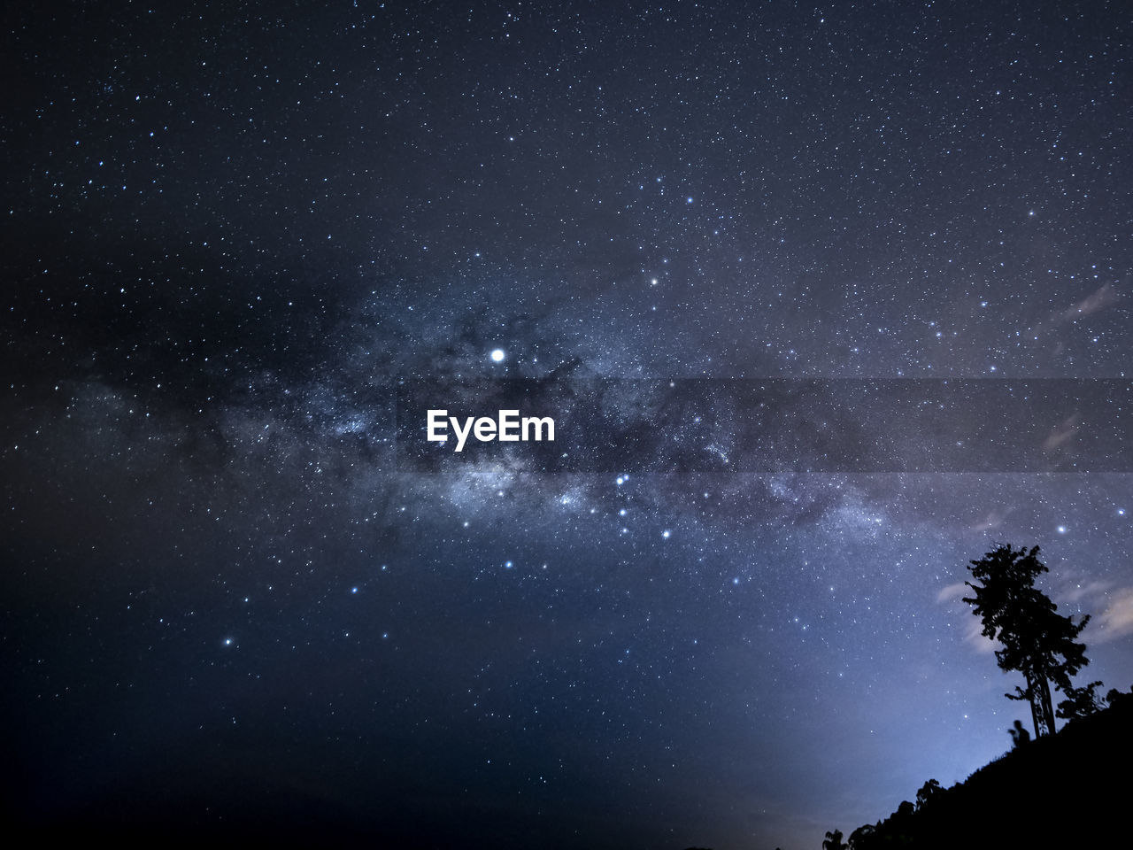 Low angle view of silhouette trees against star field at night