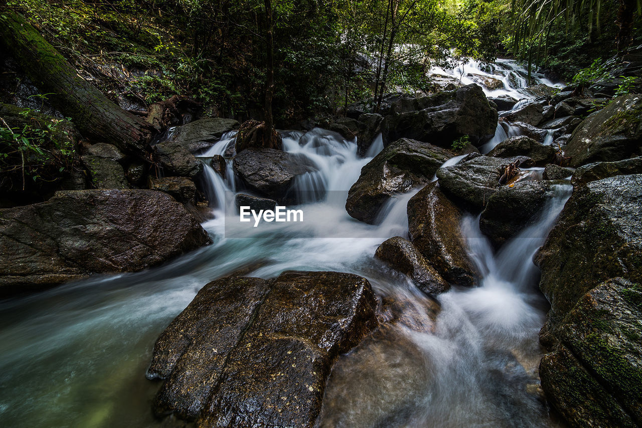 WATERFALL IN FOREST