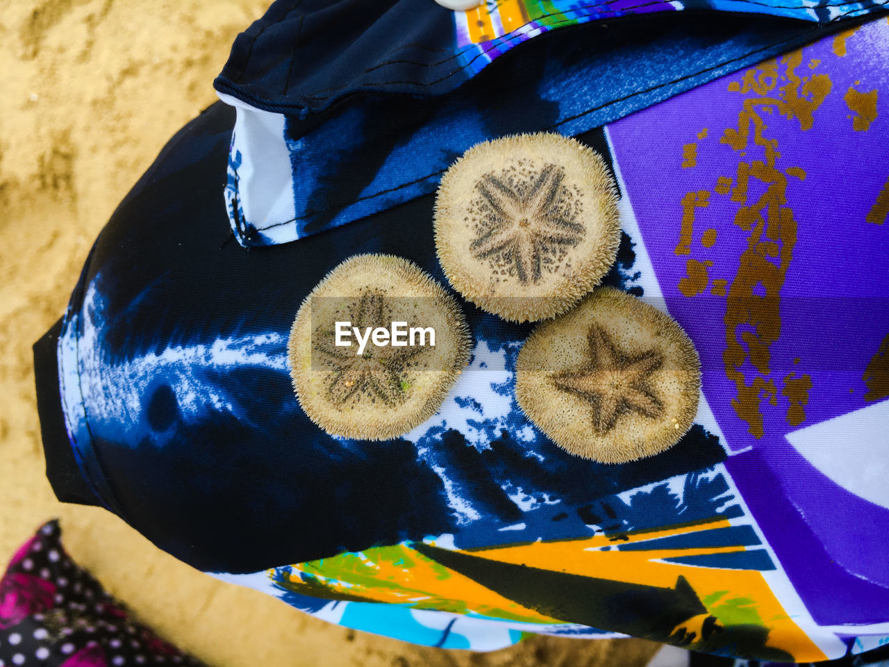 High angle view of sea urchin with star design