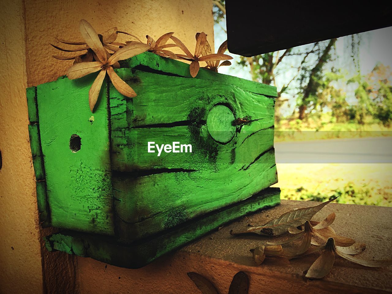 CLOSE-UP OF TREE TRUNK