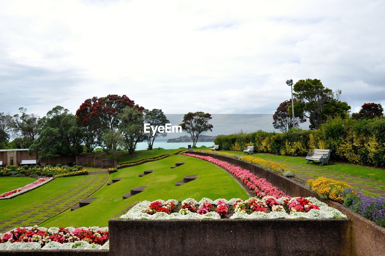 View of flowering plants in park against cloudy sky