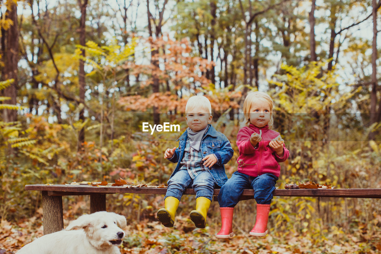 Cute kids sitting on bench at park during autumn