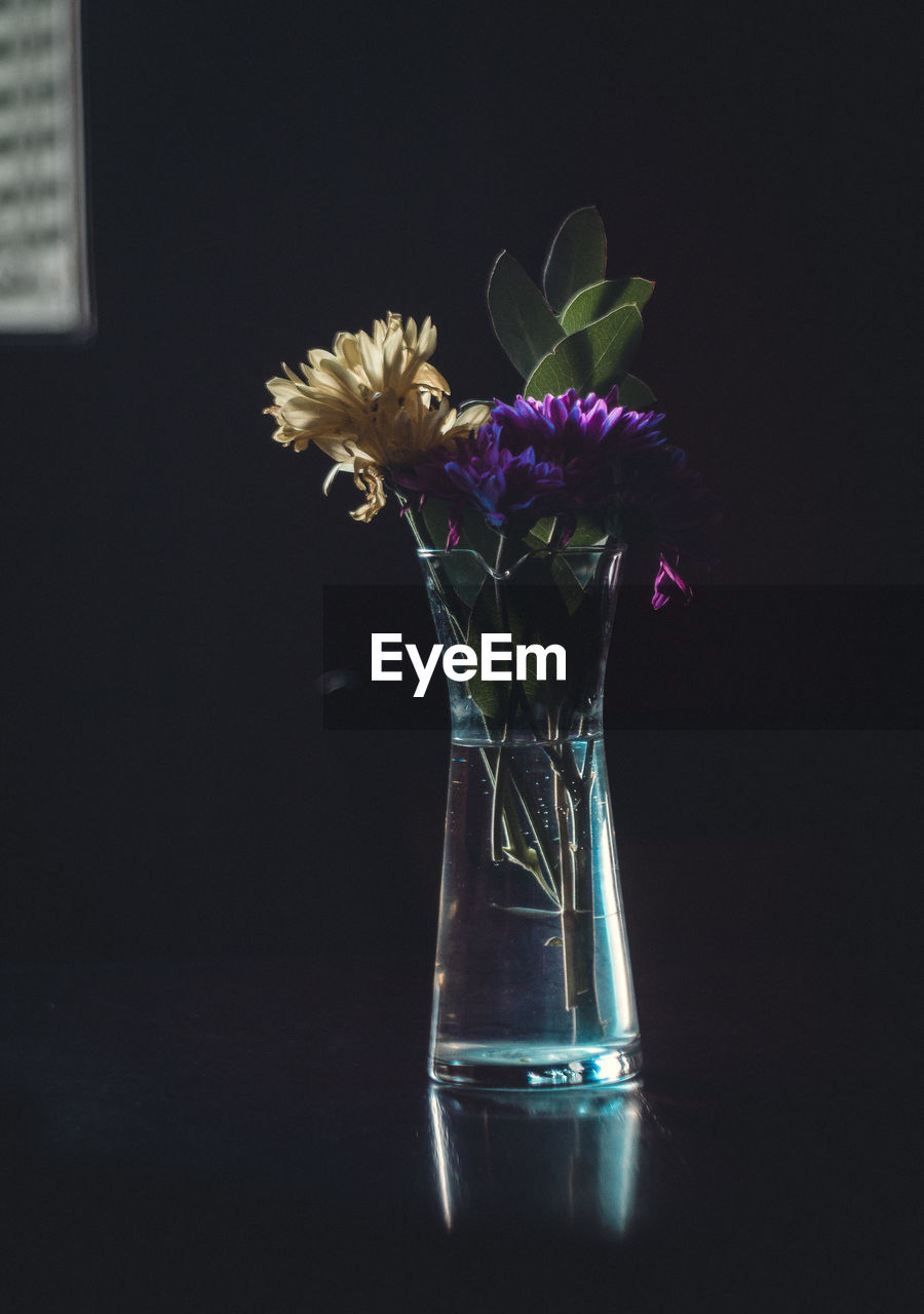 flower, flowering plant, vase, plant, indoors, purple, freshness, nature, glass, still life photography, no people, fragility, black background, still life, studio shot, flower head, beauty in nature, close-up, flower arrangement, table, darkness, yellow, container, inflorescence, blue, arrangement, violet, jar, transparent